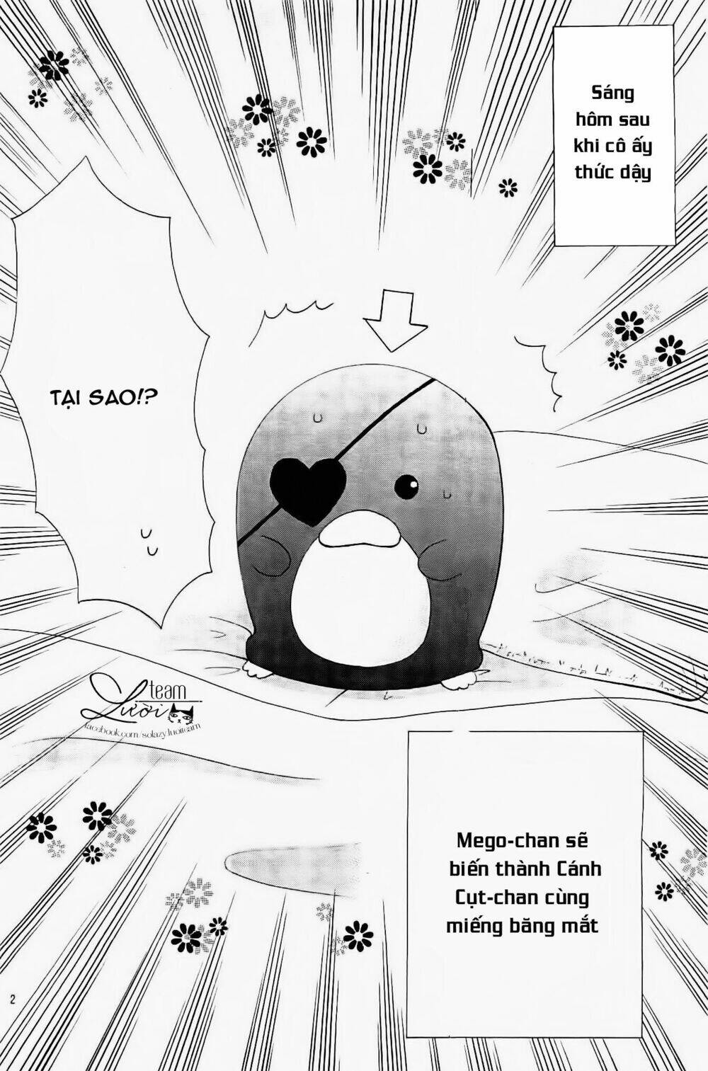 Cuộc Gặp Gỡ Diệu Kỳ: Chapter 35.5