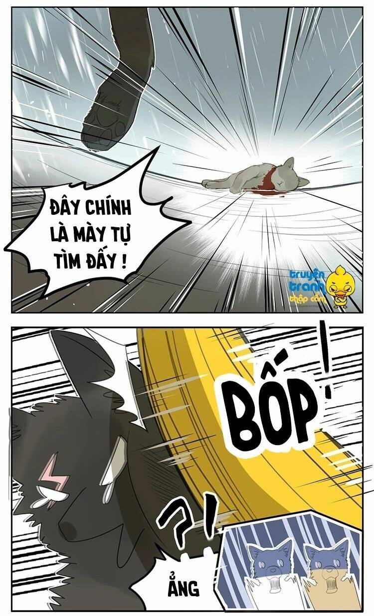 Cứu Mạng! Loài Mèo Thống Trị Thế Giới Rồi!: Chapter 25