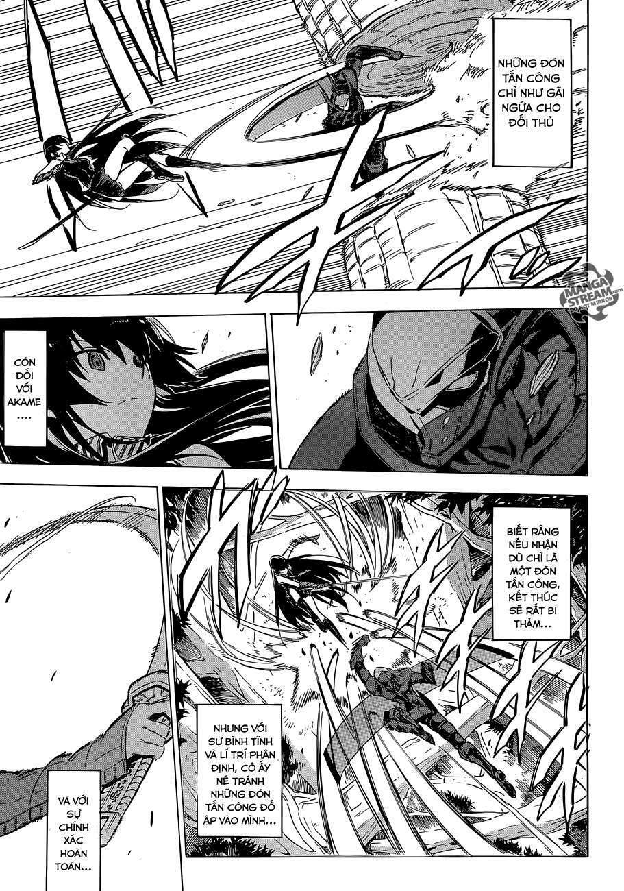 Akame Ga Kiru: Chapter 62
