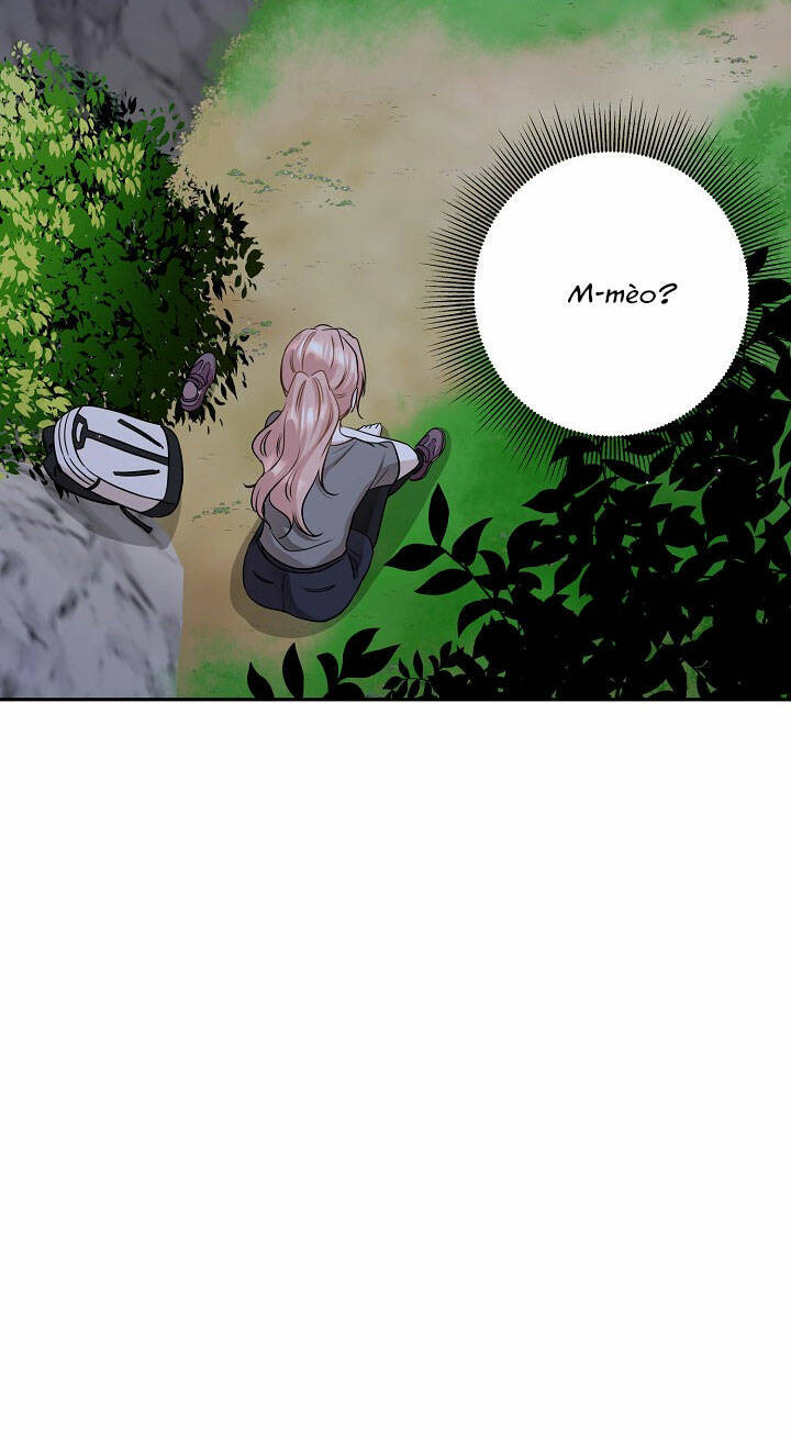 Cuộc Sống Kỳ Thú: Chapter 97