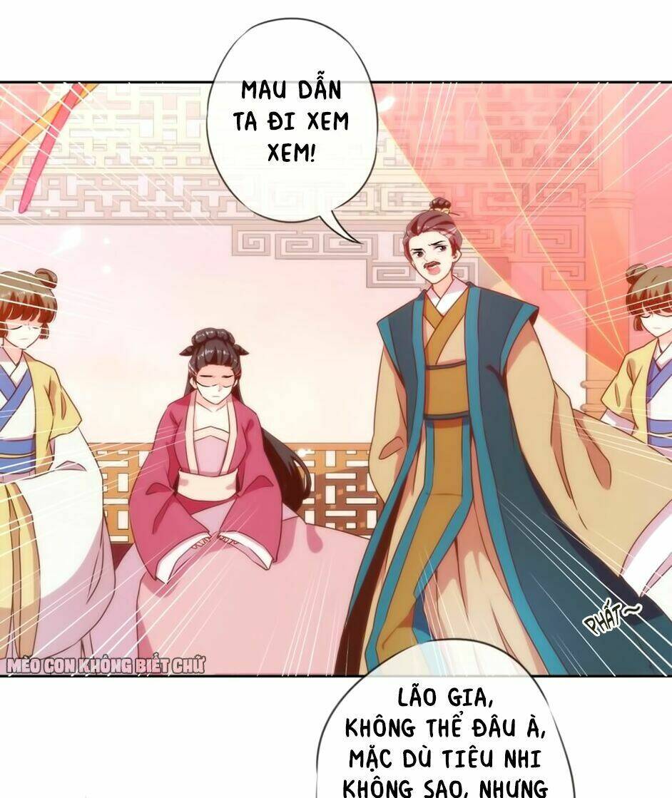 Ồ, Sủng Phi Đại Nhân Của Ta: Chapter 2