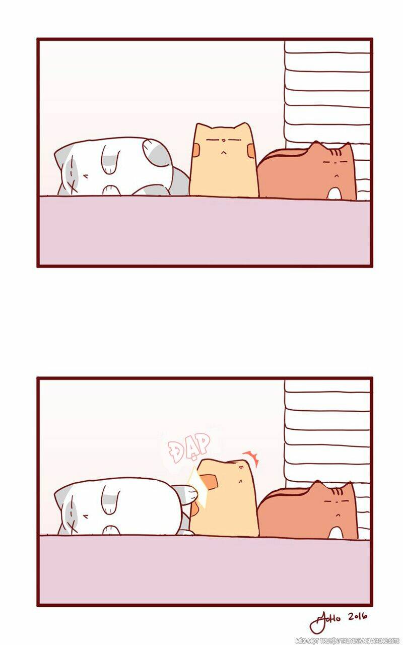 Saphie: Chú mèo một mắt: Chapter 10