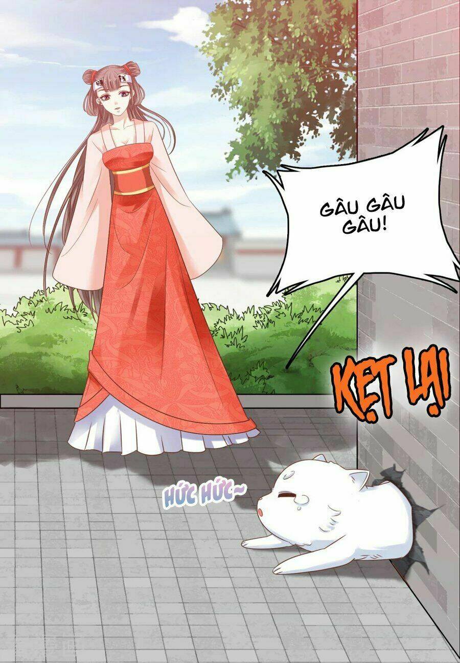Phú Bà Bạc Tỷ Trong Lãnh Cung: Chapter 4