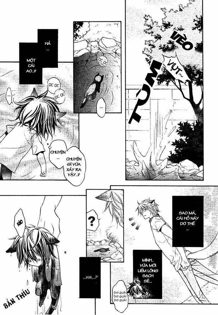 Chuyện Tình Của Toono Và Tamiya: Chapter 10.1