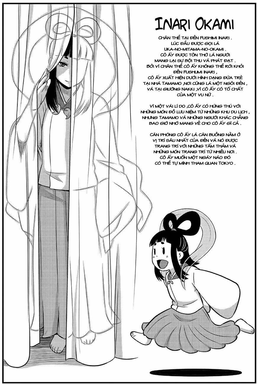 High School Inari Tamamo-Chan: Chapter 15.5