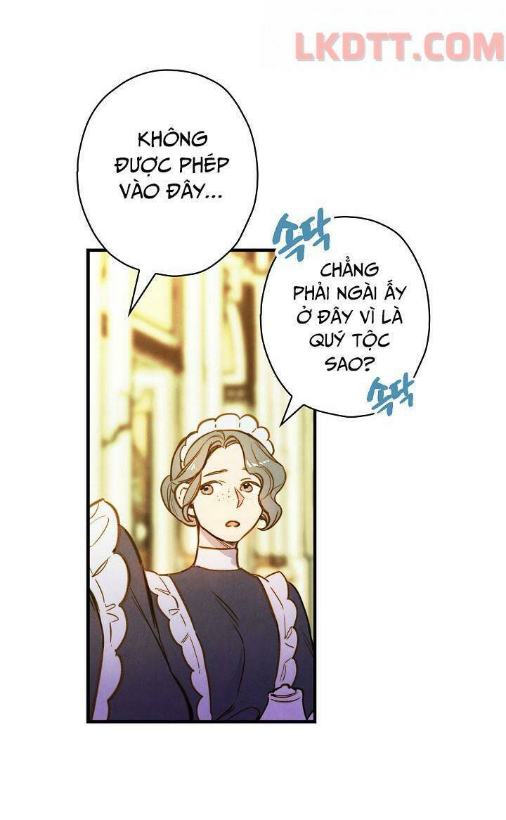 Hoàng Phi Bóng Tối: Chapter 23