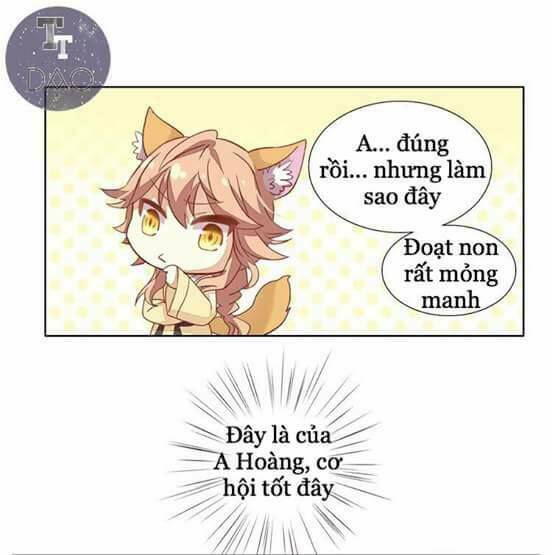 Dưới Móng Vuốt Mèo: Chapter 2