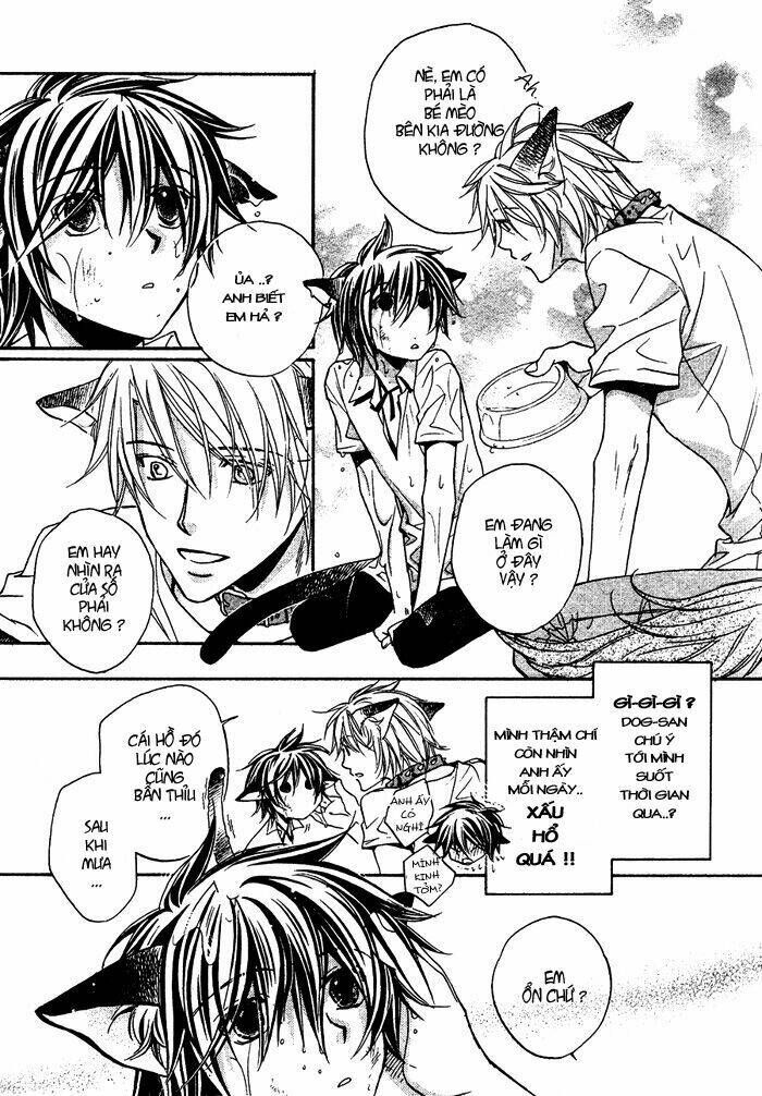 Chuyện Tình Của Toono Và Tamiya: Chapter 10.1