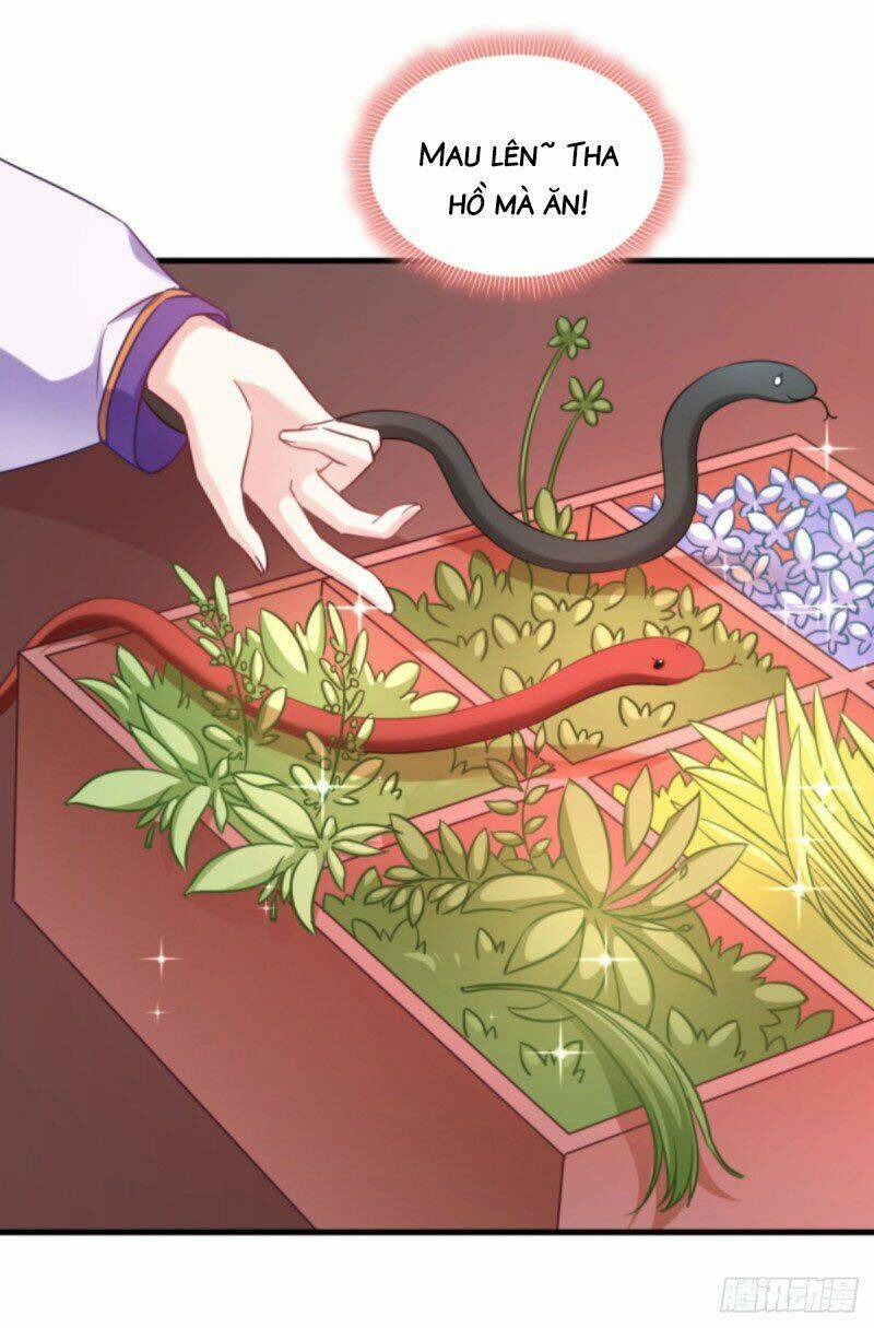 Trò Chơi Trừng Phạt: Chapter 79