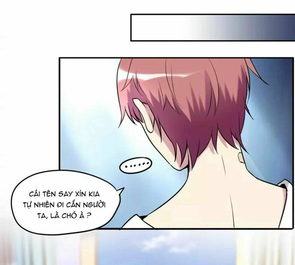 Cô Gái! Xin Hãy Dừng Lại: Chapter 4