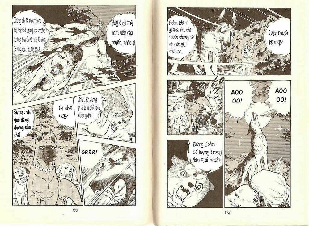 Chú Chó Có Nghĩa - Ginga Nagareboshi Gin: Chapter 10