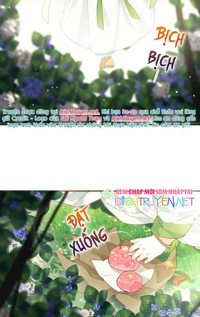 Lưu Hoa Bất Cập Xuân: Chapter 22.5
