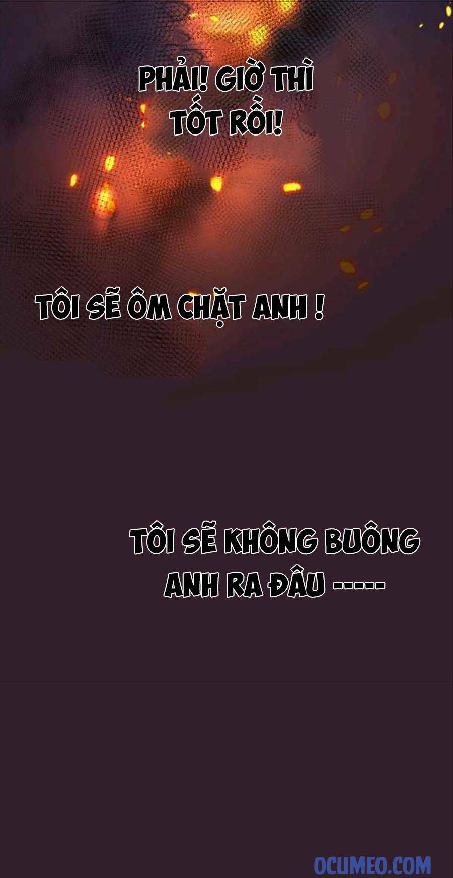 Cô Dâu Của Sói Đen: Chapter 25