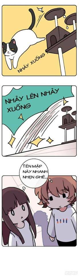 Hello Dư Tuyết Đặc: Chapter 2