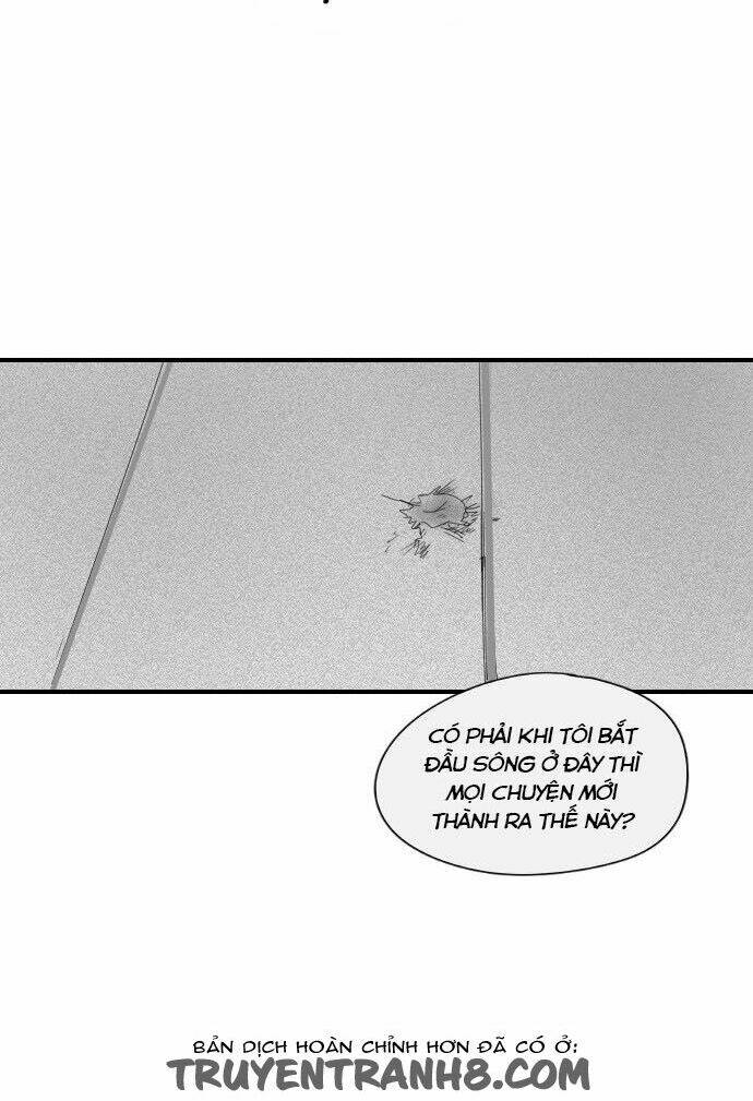 Transparent Cohabitation: Chapter 11