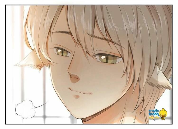 Cứu mạng ! Loài mèo thống trị thế giới rồi !: Chapter 27