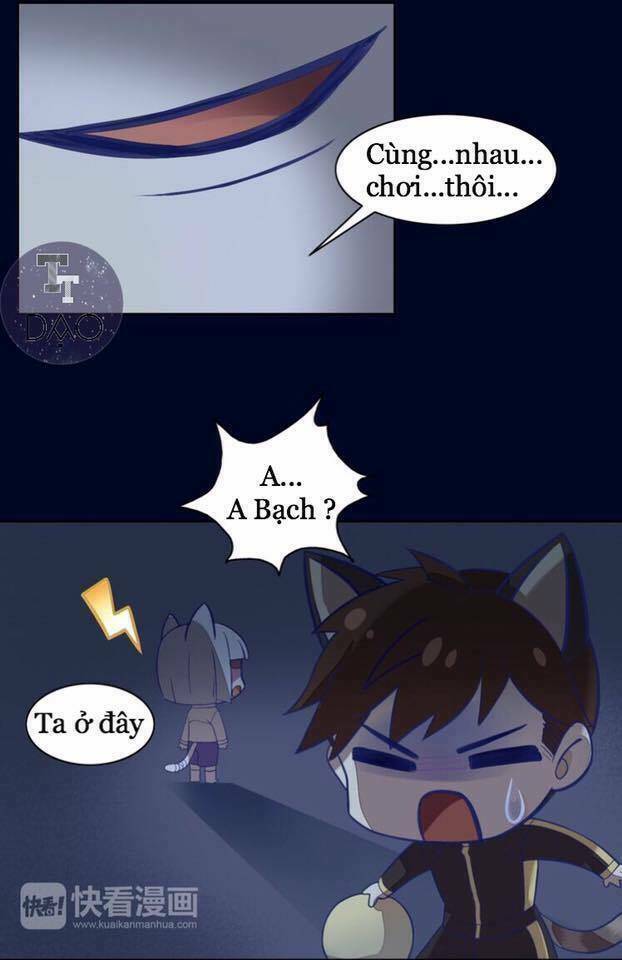 Dưới Móng Vuốt Mèo: Chapter 4