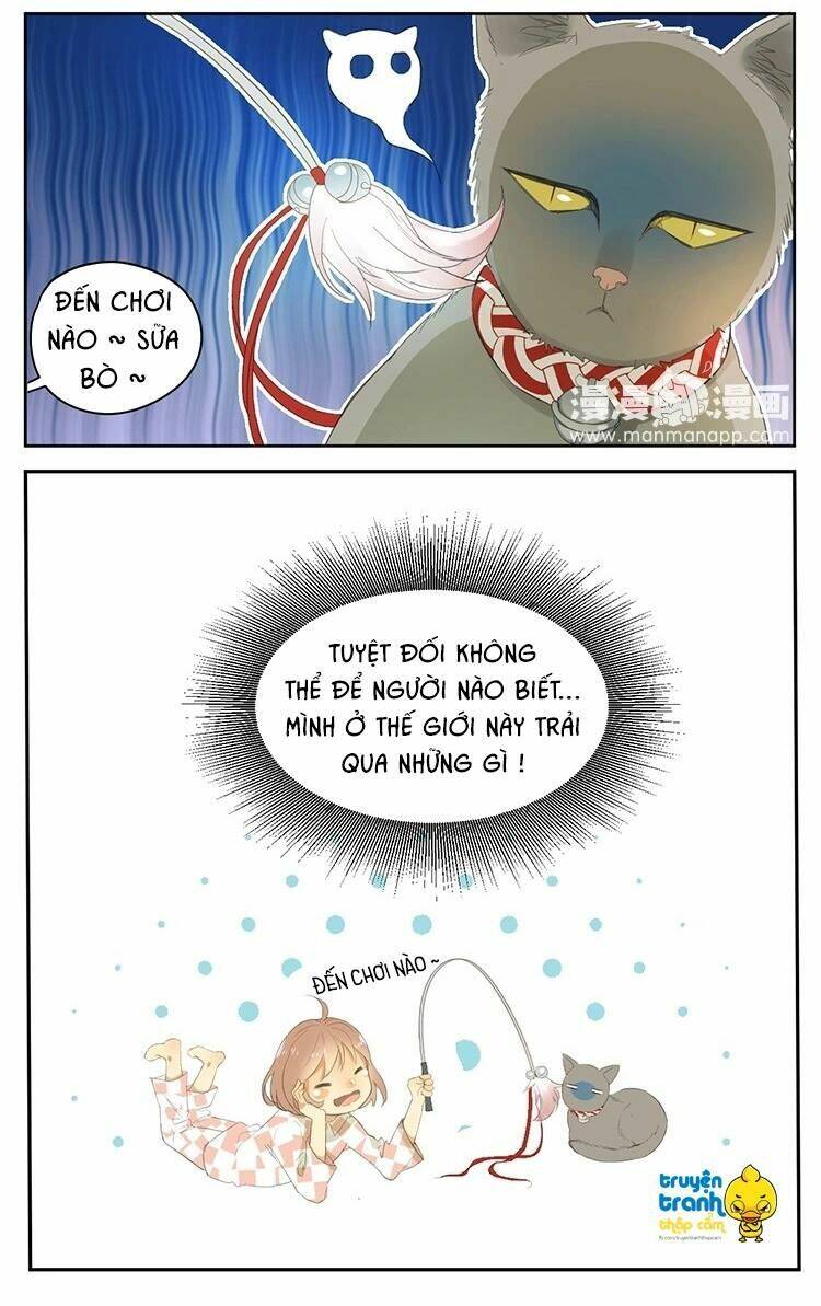 Cứu Mạng! Loài Mèo Thống Trị Thế Giới Rồi!: Chapter 24