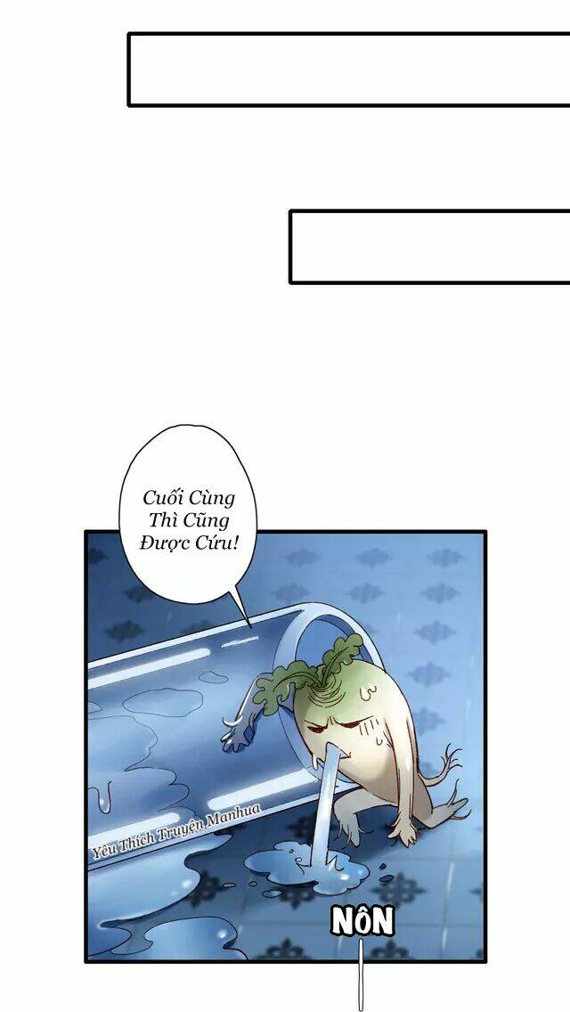 Thực Nhị: Chapter 8