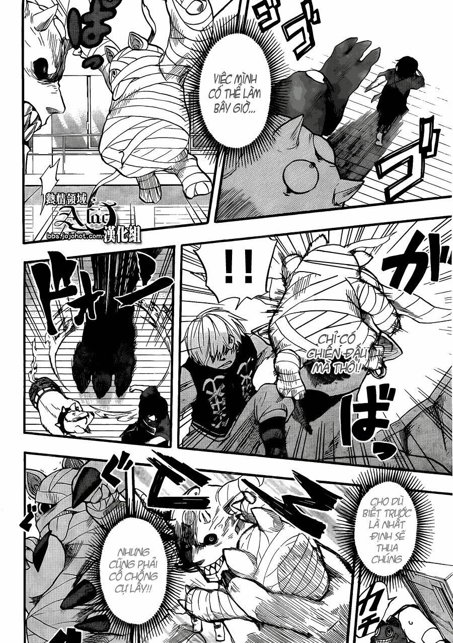 Dragon Collection: Chapter 4