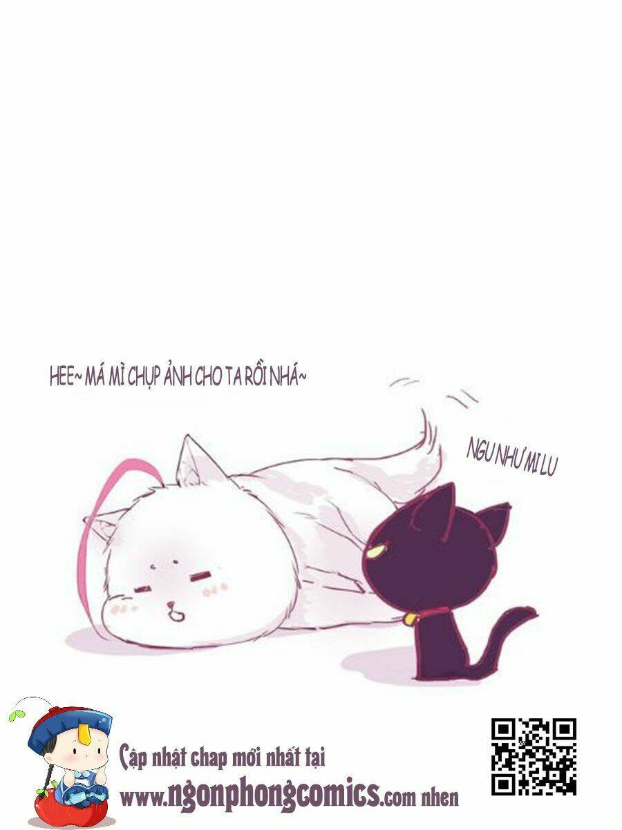 Đừng Nghịch, Ta Chỉ Muốn Yên Tĩnh: Chapter 3