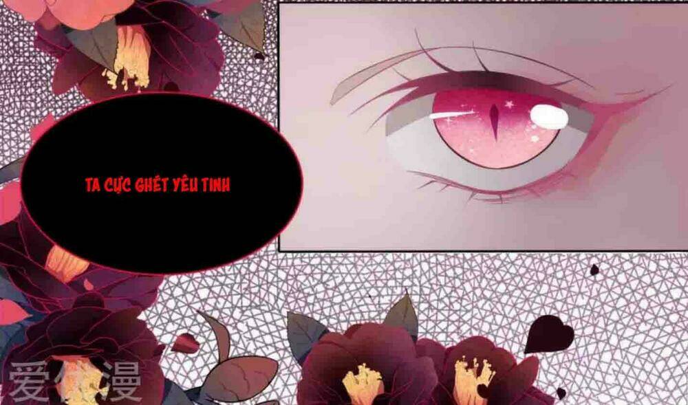 Xuyên Về Cổ Đại Làm Quốc Bảo: Chapter 2