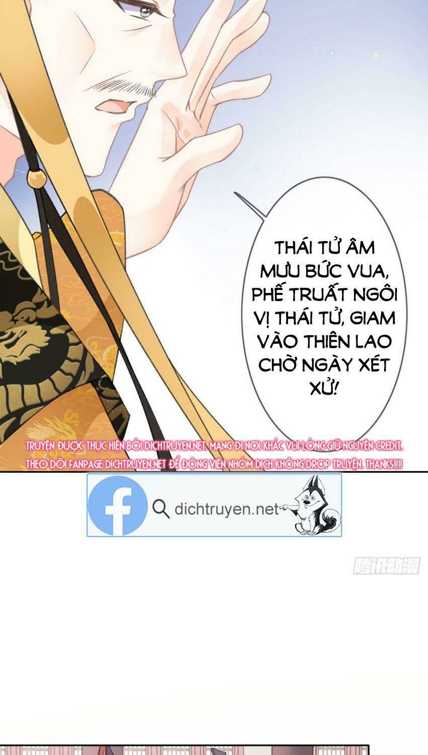 Tang Lạc Túy Tại Nam Phong Lý: Chapter 81