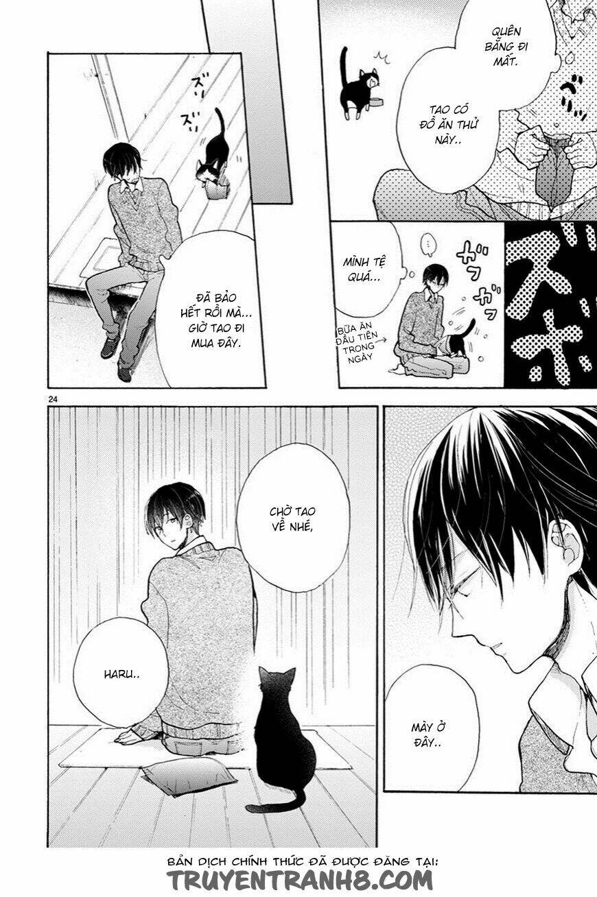 Doukyonin Wa Hiza, Tokidoki, Atama No Ue: Chapter 2