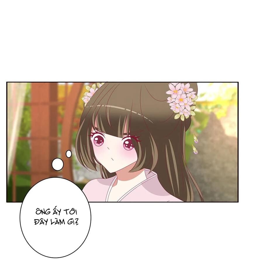 Thông Linh Phi: Chapter 618