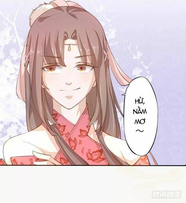 Tuyệt Thế Luyện Đan Sư: Chapter 28