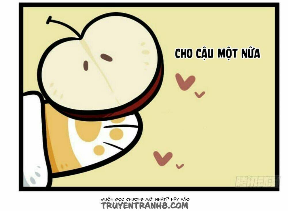 Đời Không Như Mình Tưởng: Chapter 13