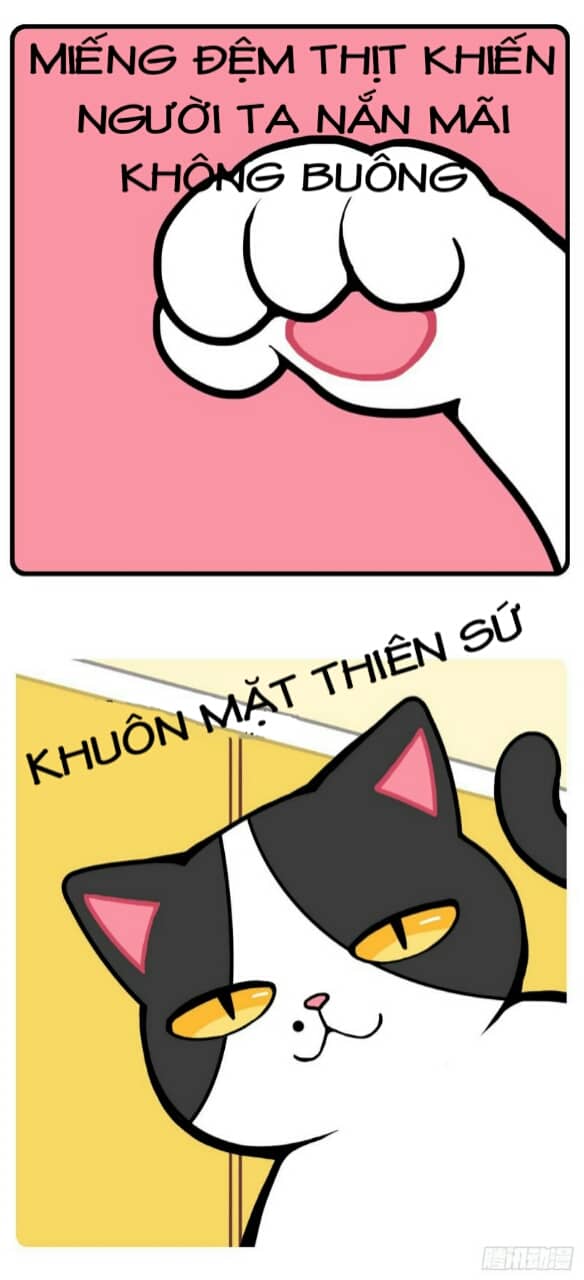 Hello Dư Tuyết Đặc: Chapter 1