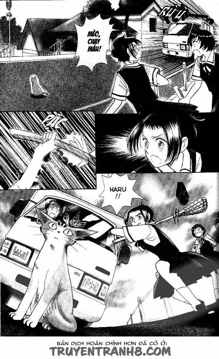 Lời Thì Thầm Từ Trái Tim: Chapter 6