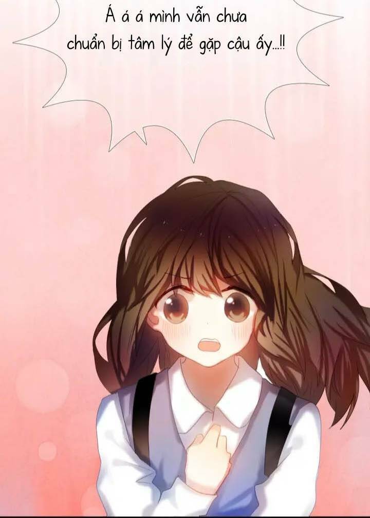 Kế Hoạch Trái Tim: Chapter 39