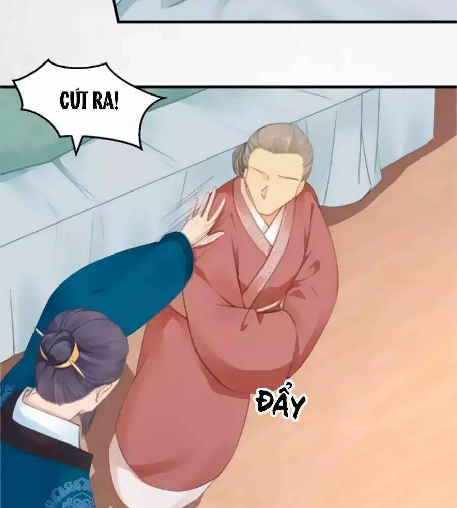 Hoạn Phi Hoàn Triều: Chapter 36