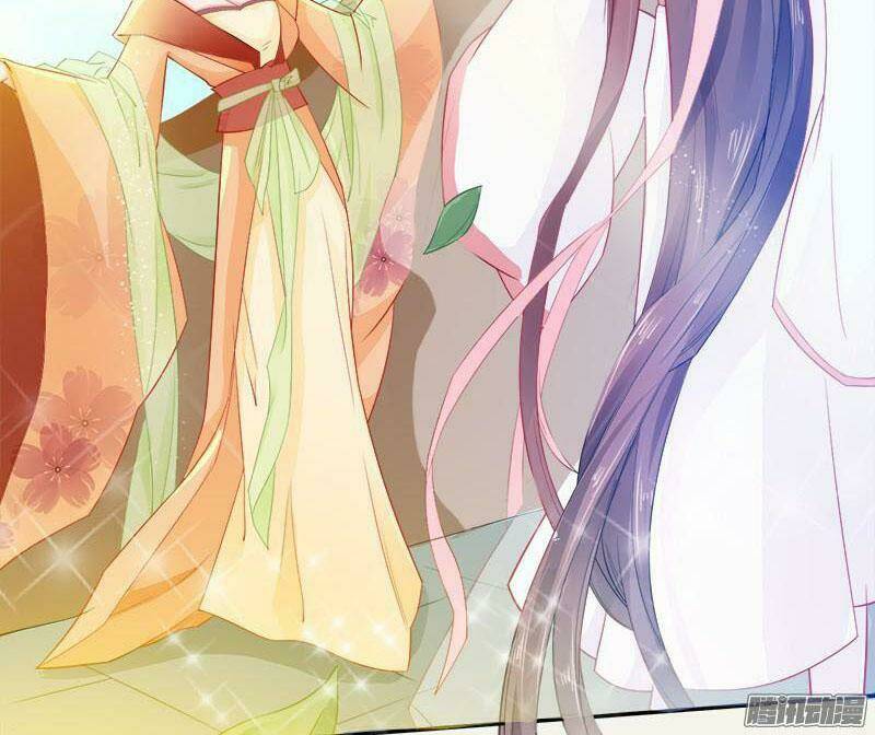 Tuyệt Thế Luyện Đan Sư: Chapter 6