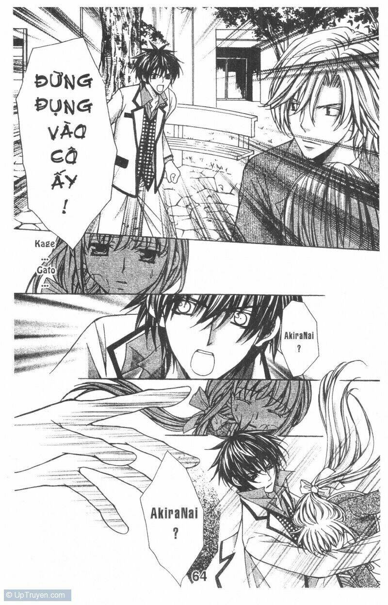 Trái Tim Kim Cương: Chapter 1