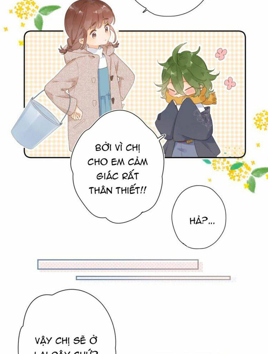 Sos! Tôi Đã Yêu Một Con Sâu Bướm (Phần 2): Chapter 2