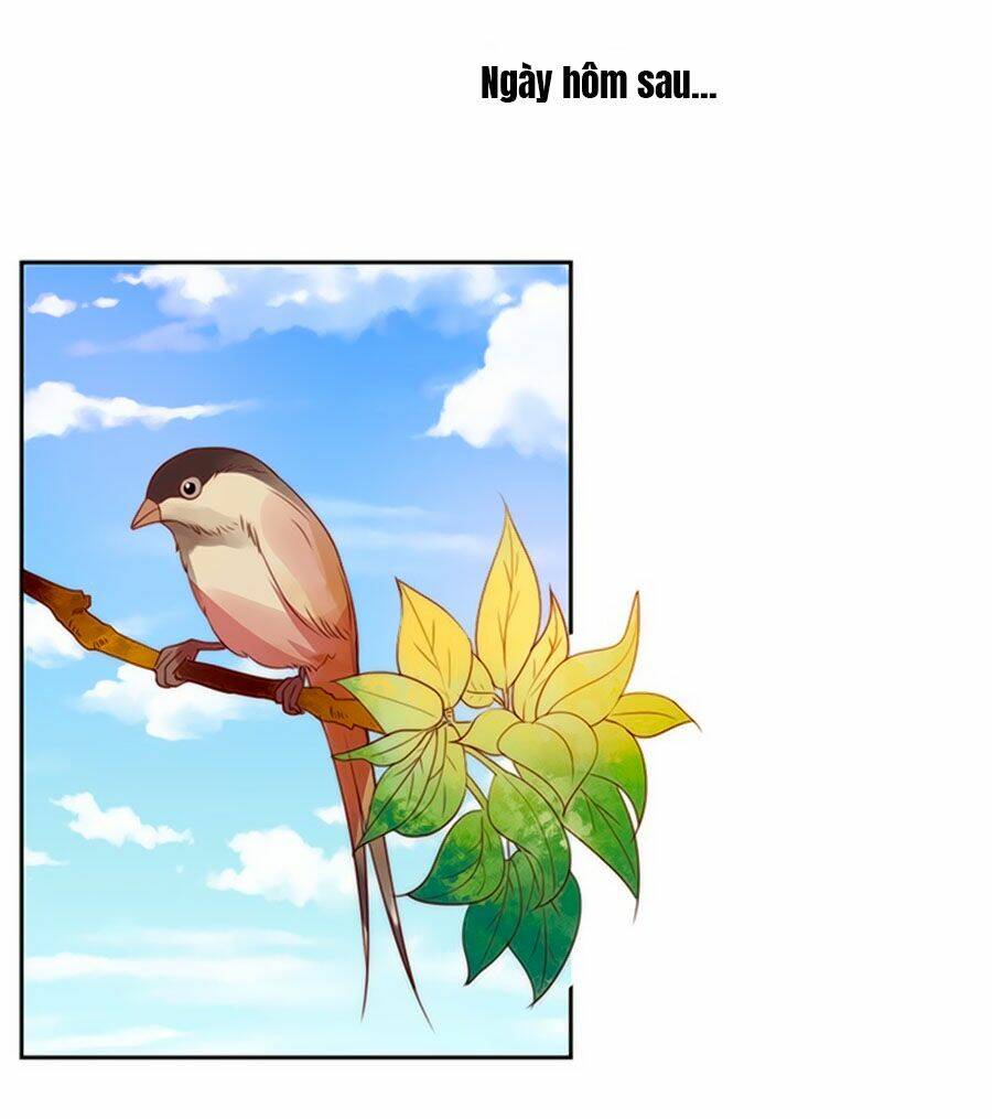 Bạn Trai Là Ngôi Sao: Chapter 98