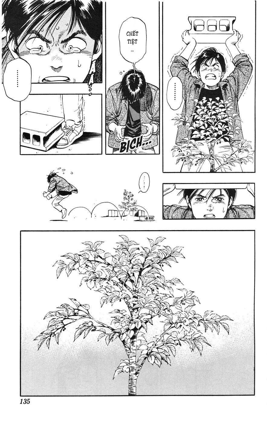 Cô Bé Mặt Trời: Chapter 24