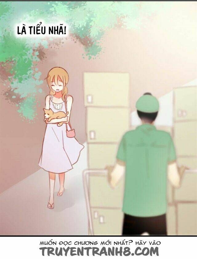 Phụ Đạo Sau Giờ Học: Chapter 5