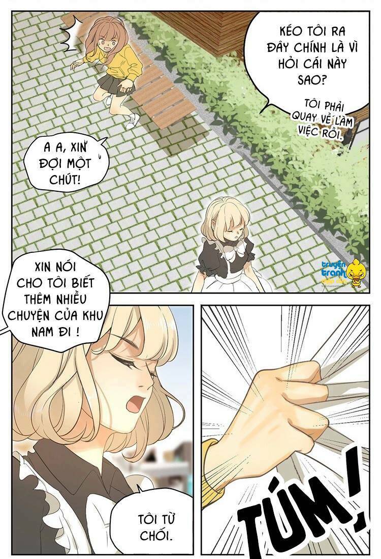 Cứu Mạng! Loài Mèo Thống Trị Thế Giới Rồi!: Chapter 17