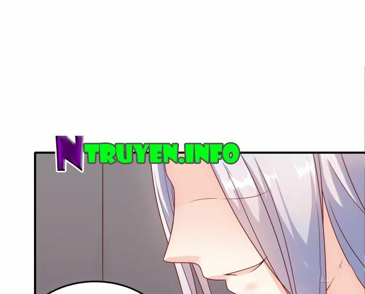 Đô đốc đại nhân sủng thê kí: Chapter 11.1