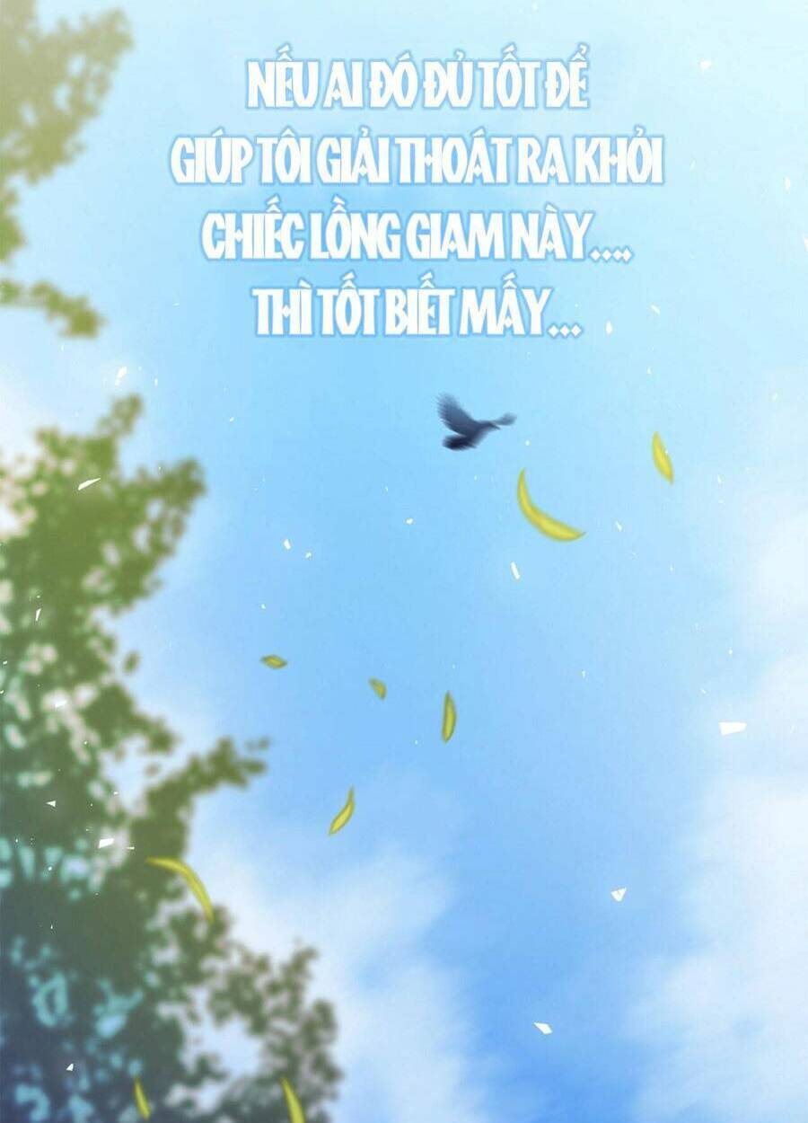 Lòng Trung Thành Với Kẻ Ác: Chapter 2