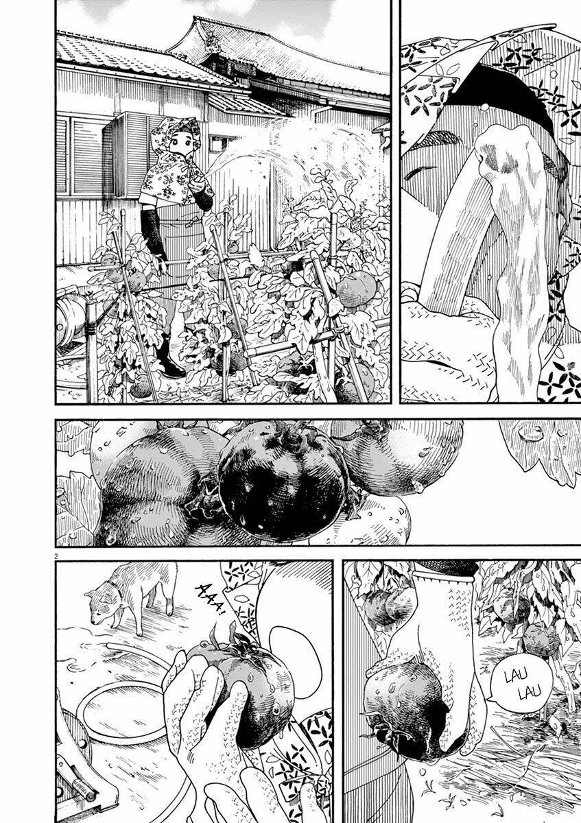 Neko No Otera No Chion-San: Chapter 28