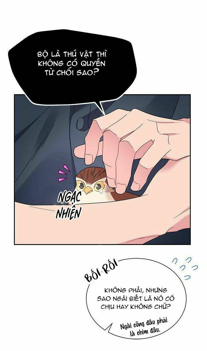 Công Chúa Của Loài Chim: Chapter 25