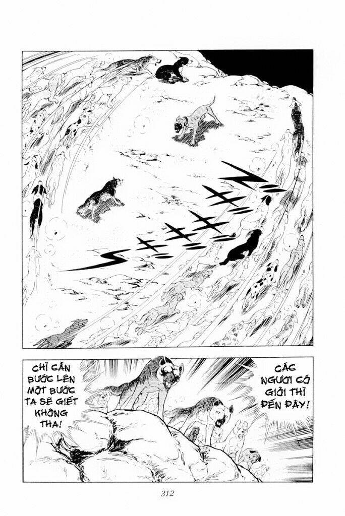 Chú Chó Có Nghĩa - Ginga Nagareboshi Gin: Chapter 30.2