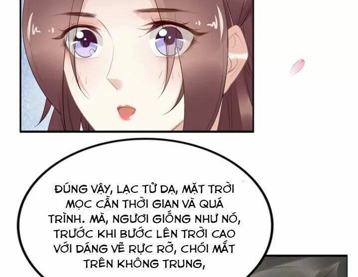 Nhất Sinh Nhất Thế Tiếu Thương Khung: Chapter 65