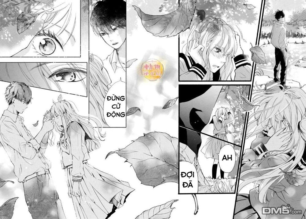 Mikansei Demo Koi Ga Ii.: Chapter 2