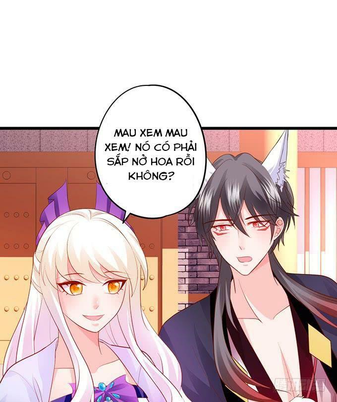 Hồ Tiên Hung Bạo: Chapter 137